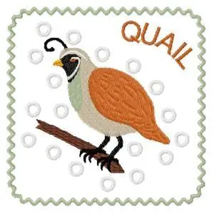 Buy Today Quail Block Embroidery Design