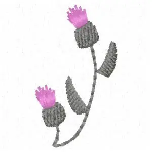 Trending Thistle Flowers Embroidery Design