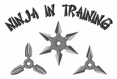 Ninja Training Embroidery Design Budget