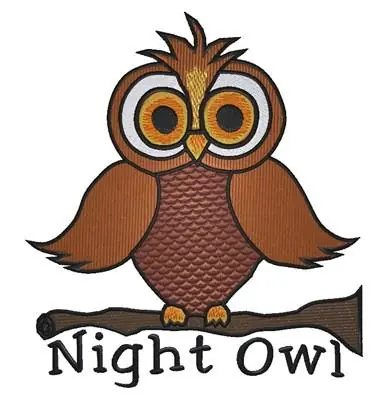 Certified Night Owl Embroidery Design