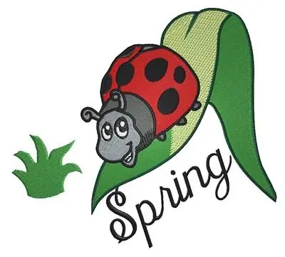 Spring Ladybug Embroidery Design Handmade