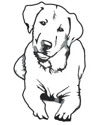 Certified Dog Outline Embroidery Design