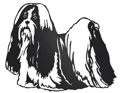 Shih Tsu Embroidery Design Clearance