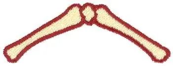 While Supplies Last Dinosaur Bones Embroidery Design