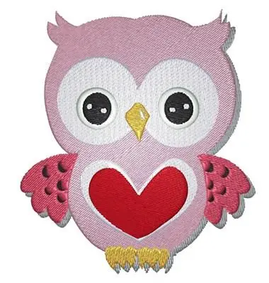 Don’t Miss Out Owl Heart Embroidery Design