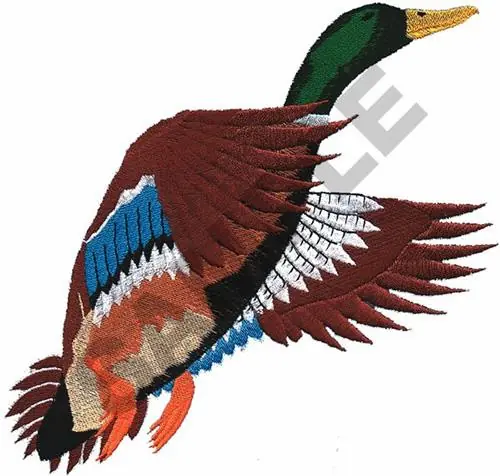 MALLARD DUCK Embroidery Design Limited Time