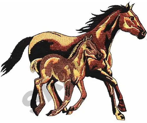 MARE & COLT Embroidery Design Professional Grade