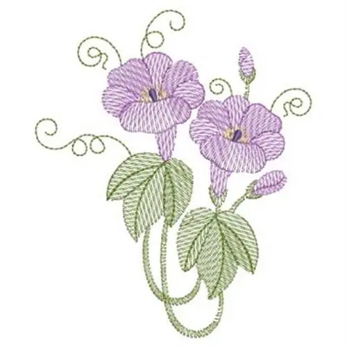 Vintage Morning Glory Embroidery Design Premium