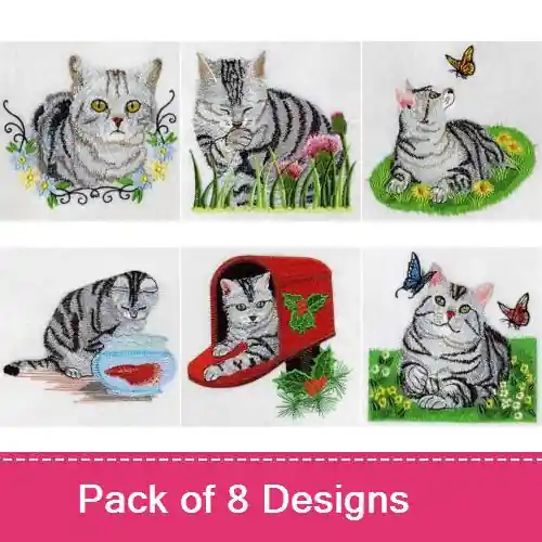 Sale American Shorthair Embroidery design pack by Ace Points, Embroidery Packs on EmbroideryDesigns.com