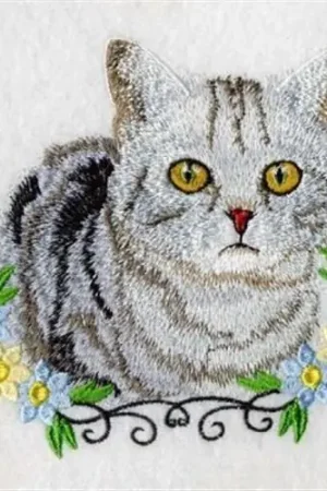 American Shorthair Embroidery Design Wholesale