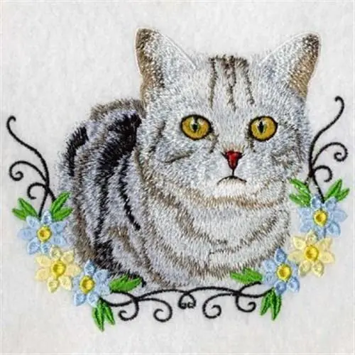 American Shorthair Embroidery Design Wholesale