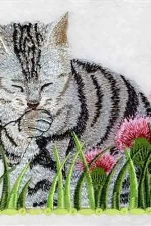 American Shorthair Embroidery Design Shop Now