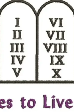 Bulk Order Rules To LIve By Embroidery Design