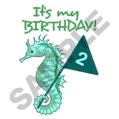 Editor’s Pick ITS MY BIRTHDAY Embroidery Design