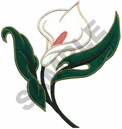 LILY APPLIQUE Embroidery Design Viral
