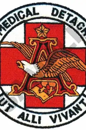 247TH MEDICAL DETACHMENT Embroidery Design Fast Shipping