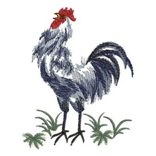 One Day Deal Brush Painting Rooster Embroidery Design