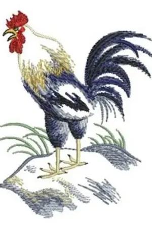 Brush Painting Rooster Embroidery Design Professional Grade