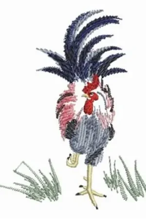 Brush Painting Rooster Embroidery Design Top Pick