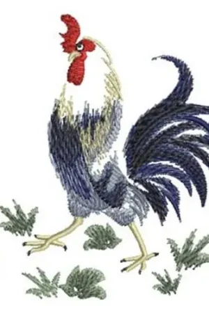 Brush Painting Rooster Embroidery Design Factory Price