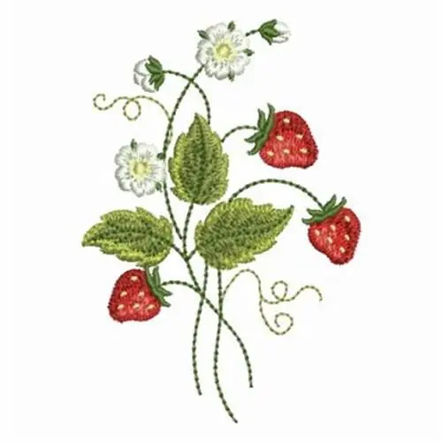 High Quality Strawberry Plant Embroidery Design