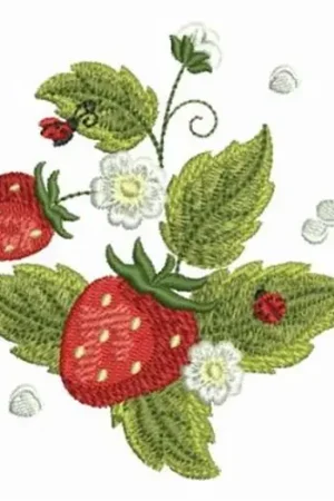 Yummy Strawberries Embroidery Design Best Choice