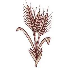 Direct From Manufacturer WHEAT Embroidery Design