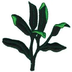 Order Now LEAVES Embroidery Design
