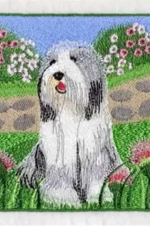 Bearded Collie Square Embroidery Design Same Day Shipping