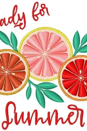 Summer Grapefruit Slices Embroidery Design Price Cut