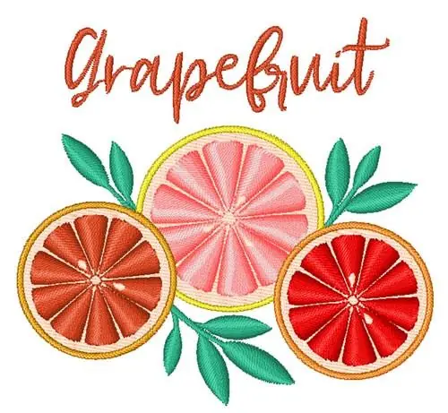 Summer Grapefruit Slices Embroidery Design Buy Today