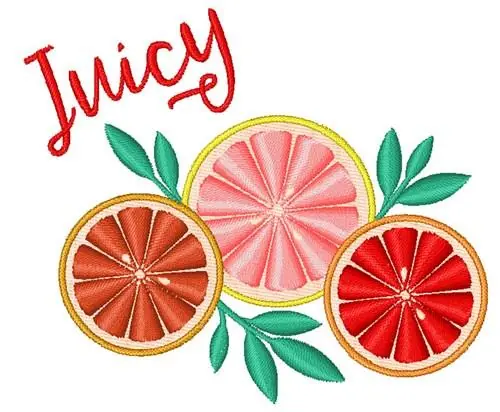 Summer Grapefruit Slices Embroidery Design Luxury
