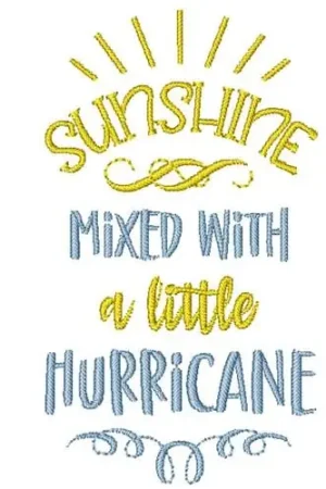Sunshine Mixed With A Little Hurricane Embroidery Design High Quality