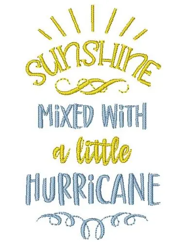 Sunshine Mixed With A Little Hurricane Embroidery Design High Quality