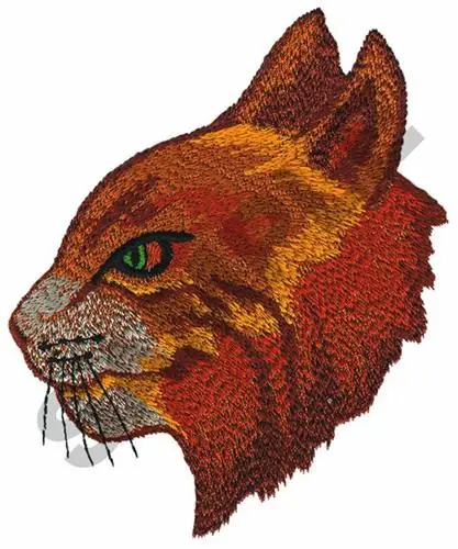 Express Delivery BOBCAT Embroidery Design