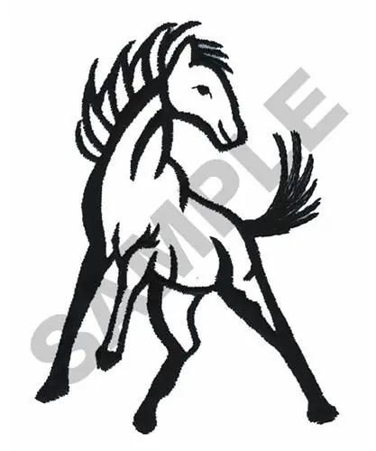 Special Offer MUSTANG Embroidery Design