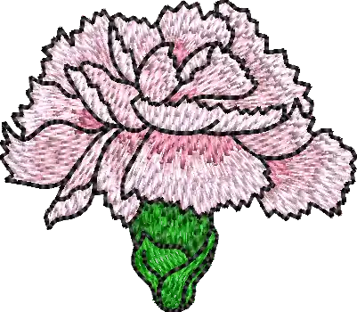 Authentic Pink Carnation Embroidery Design