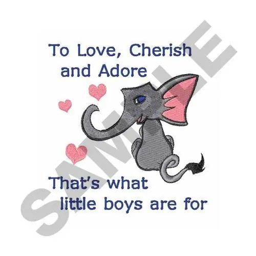 Same Day Shipping LITTLE BOYS Embroidery Design