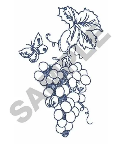 Crafted VINYARD BUTTERFLY Embroidery Design