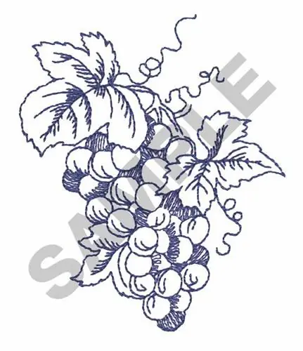 Don’t Miss Out WINE GRAPES Embroidery Design