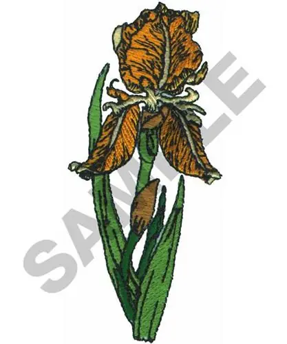 Brand New IRIS Embroidery Design