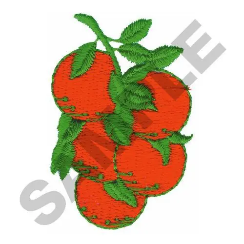 ORANGES Embroidery Design Don’t Miss Out