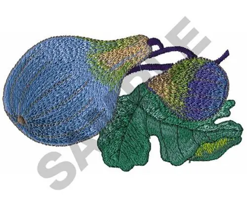 Next Day Delivery SQUASH Embroidery Design