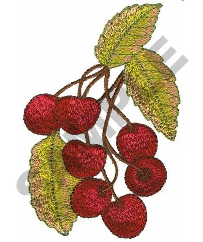 Trusted Brand CHERRIES Embroidery Design