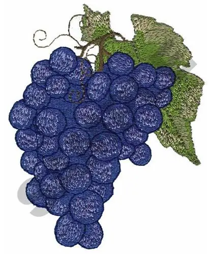 GRAPES Embroidery Design Express Delivery
