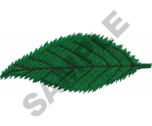 ELM LEAF Embroidery Design Warranty Included