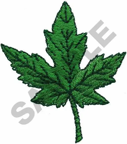 Clearance MAPLE LEAF Embroidery Design