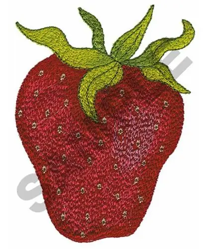 Flash Sale STRAWBERRY Embroidery Design