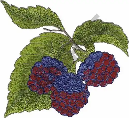Exclusive RASPBERRIES Embroidery Design