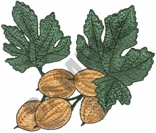 BERRIES Embroidery Design Best Choice
